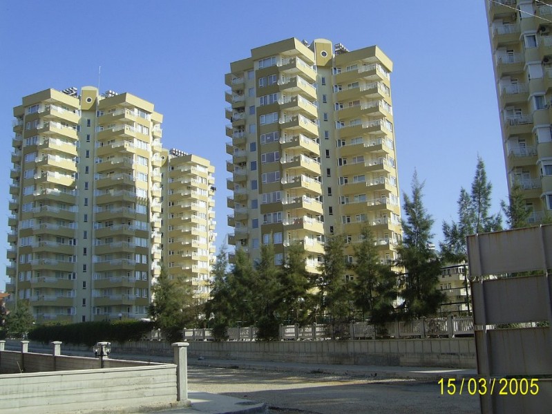 19.JPG