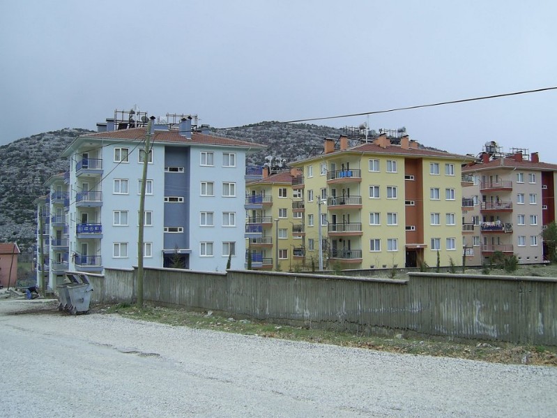 56.jpg