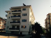 46.jpg