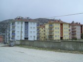 56.jpg
